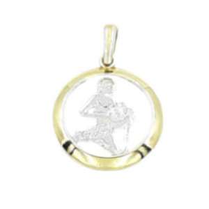 Δίχρωμο Ζώδιο Υδροχόος χρυσό Κ14