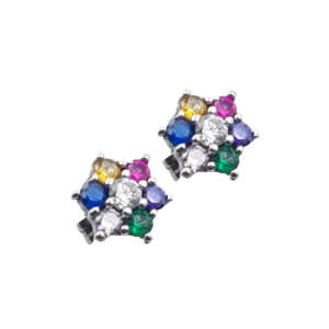 Σκουλαρίκια ασημένια 925 SP9056